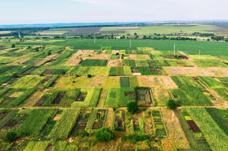 aerial-view-various-sizes-green-fields